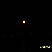 Picture 006